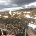 13_30-nest.jpg