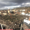 13_35-nest.jpg