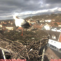13_45-nest.jpg