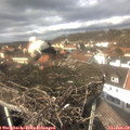 13_50-nest.jpg