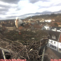 13_55-nest.jpg