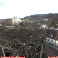 14_10-nest.jpg