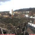 14_15-nest.jpg