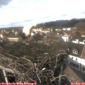 14_20-nest.jpg