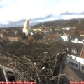 14_25-nest.jpg