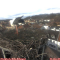 14_30-nest.jpg