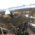 14_35-nest.jpg