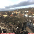 14_55-nest.jpg