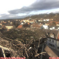 15_00-nest.jpg