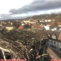 15_05-nest.jpg