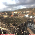 15_20-nest.jpg