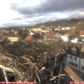 15_25-nest.jpg