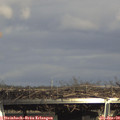 15_30-mast.jpg