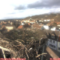 15_30-nest.jpg