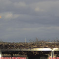 15_35-mast.jpg