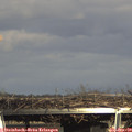 15_40-mast.jpg