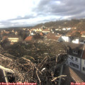 15_40-nest.jpg