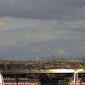15_55-mast.jpg
