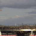16_00-mast.jpg