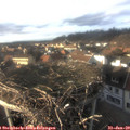 16_05-nest.jpg