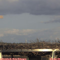 16_10-mast.jpg