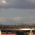 16_15-mast.jpg