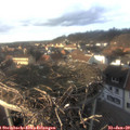 16_15-nest.jpg