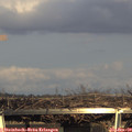 16_20-mast.jpg