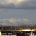 16_25-mast.jpg