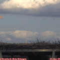 16_30-mast.jpg