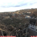 16_30-nest.jpg