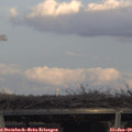 16_35-mast.jpg