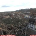 16_35-nest.jpg
