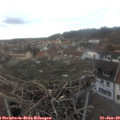 16_40-nest.jpg