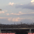 16_45-mast.jpg