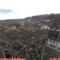16_45-nest.jpg