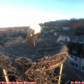08_05-nest.jpg