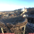 08_20-nest.jpg