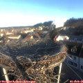 08_30-nest.jpg