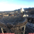 08_35-nest.jpg