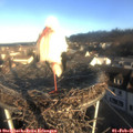 08_40-nest.jpg