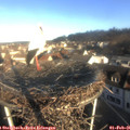 08_45-nest.jpg
