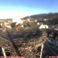 08_50-nest.jpg