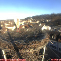 08_55-nest.jpg
