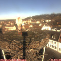 10_25-nest.jpg