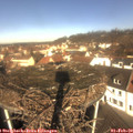 10_45-nest.jpg