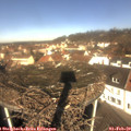 11_00-nest.jpg