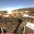 11_20-nest.jpg
