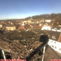 12_00-nest.jpg