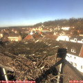 12_10-nest.jpg